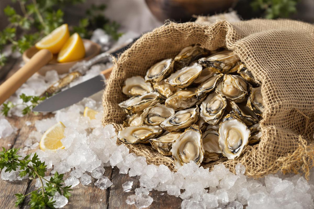 Les facteurs influençant la conservation des huîtres