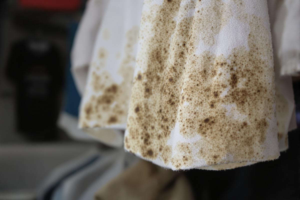 Comprendre l'origine des taches de moisissure
