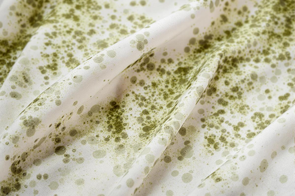 Comprendre l'origine des taches de moisissures