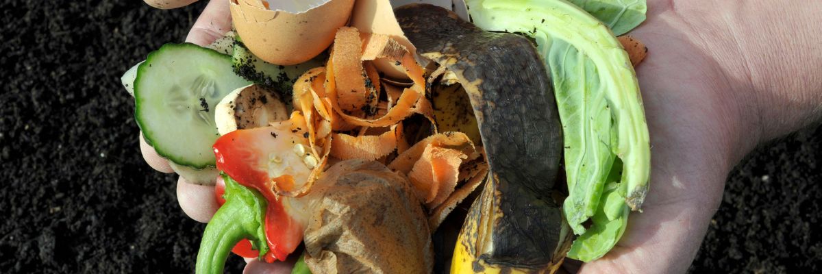 Les épluchures de légumes pour le compostage