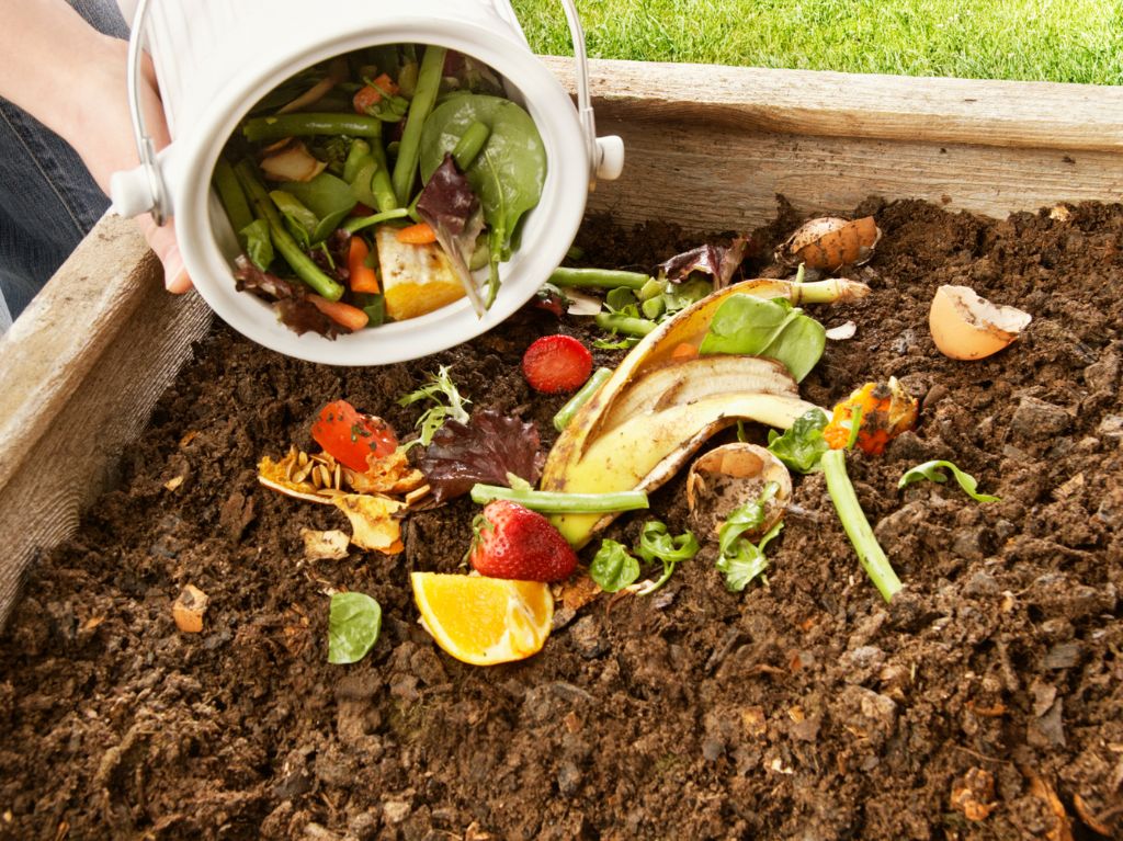 Un compost pour l'hiver