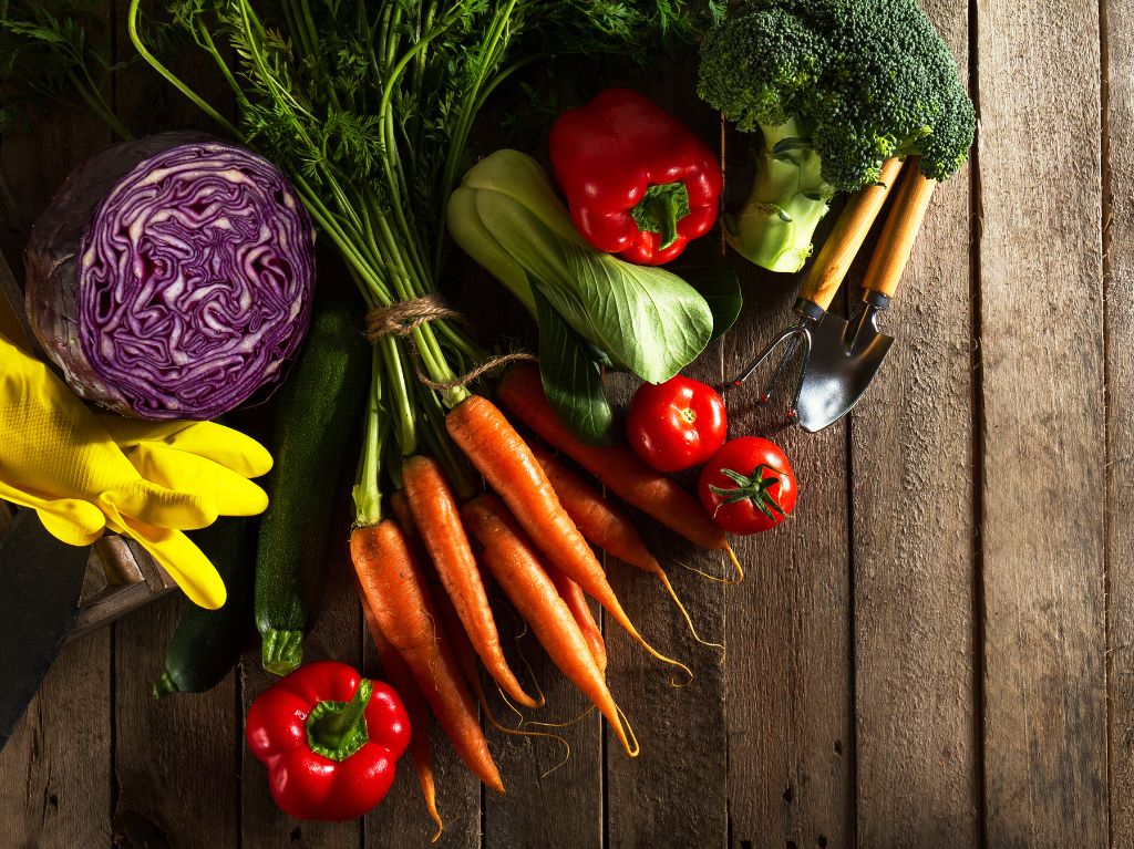 Les légumes du potager à récolter en décembre