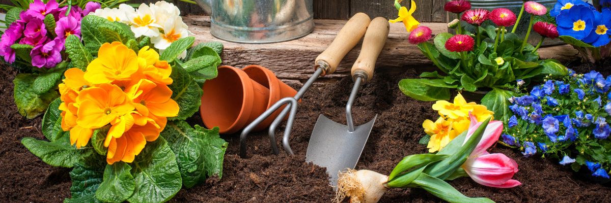 Choisir les fleurs d'un massif