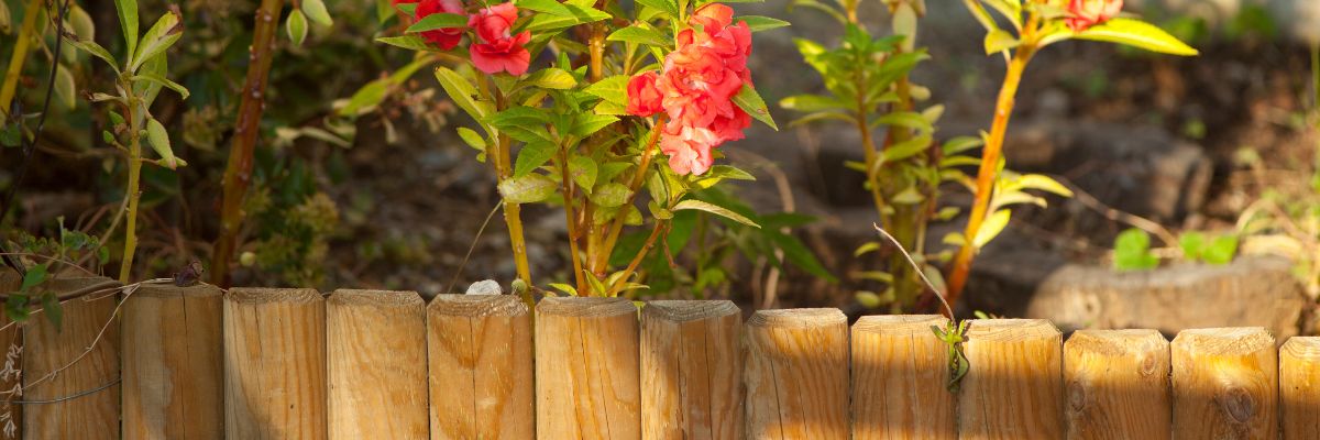 Une bordure de jardin en bois pour délimiter un parterre de fleurs
