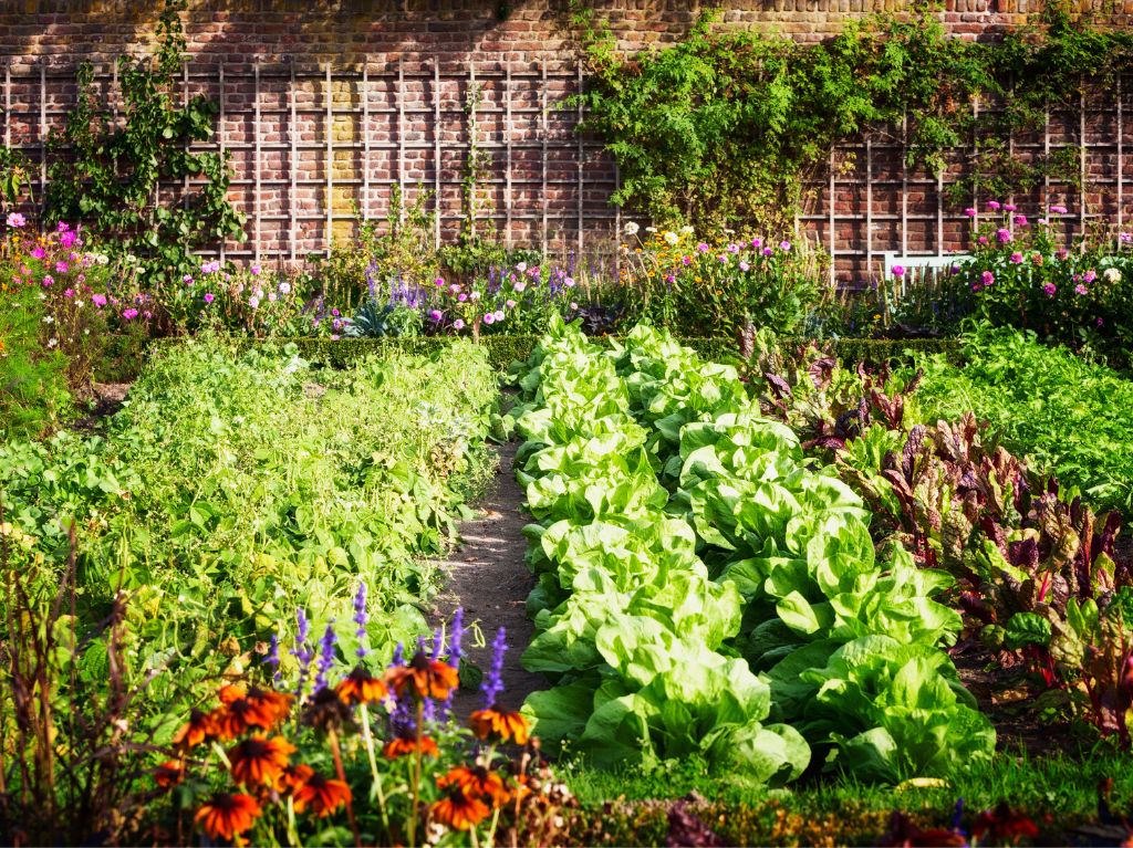 vue d'un potager en permaculture avec légumes et fleurs
