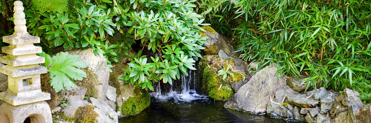 Un jardin japonais
