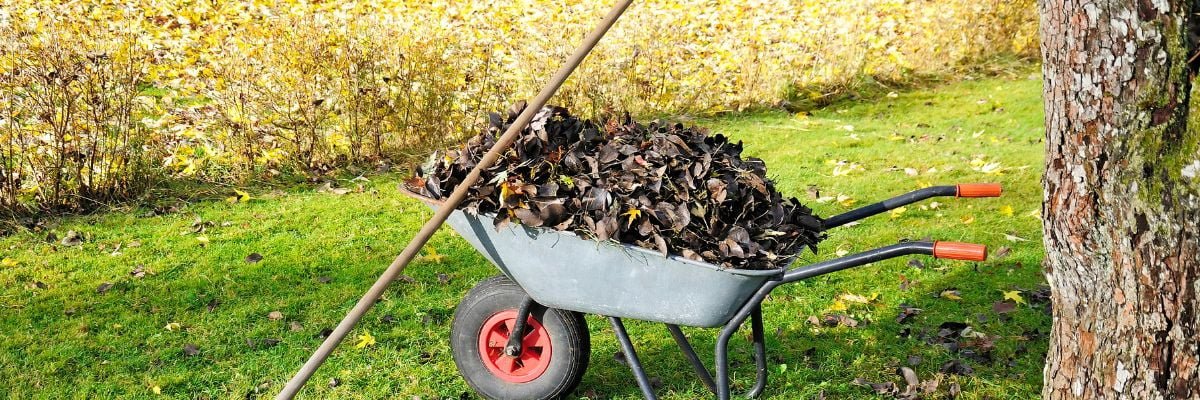 Enlever les feuilles mortes du jardin
