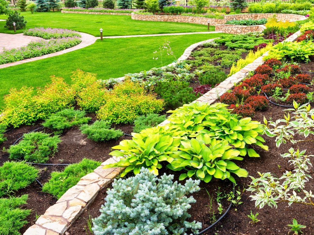 Un jardin bien aménagé