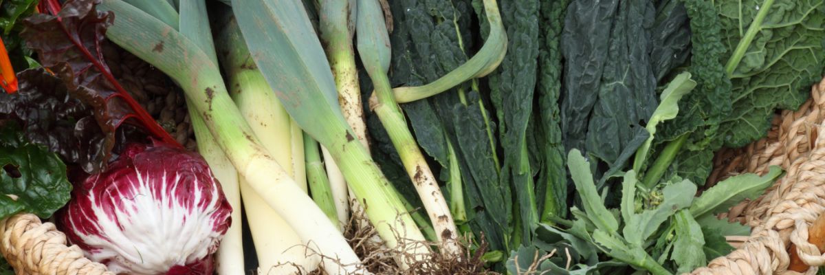 Poireaux et légumes d'hiver dans une corbeille