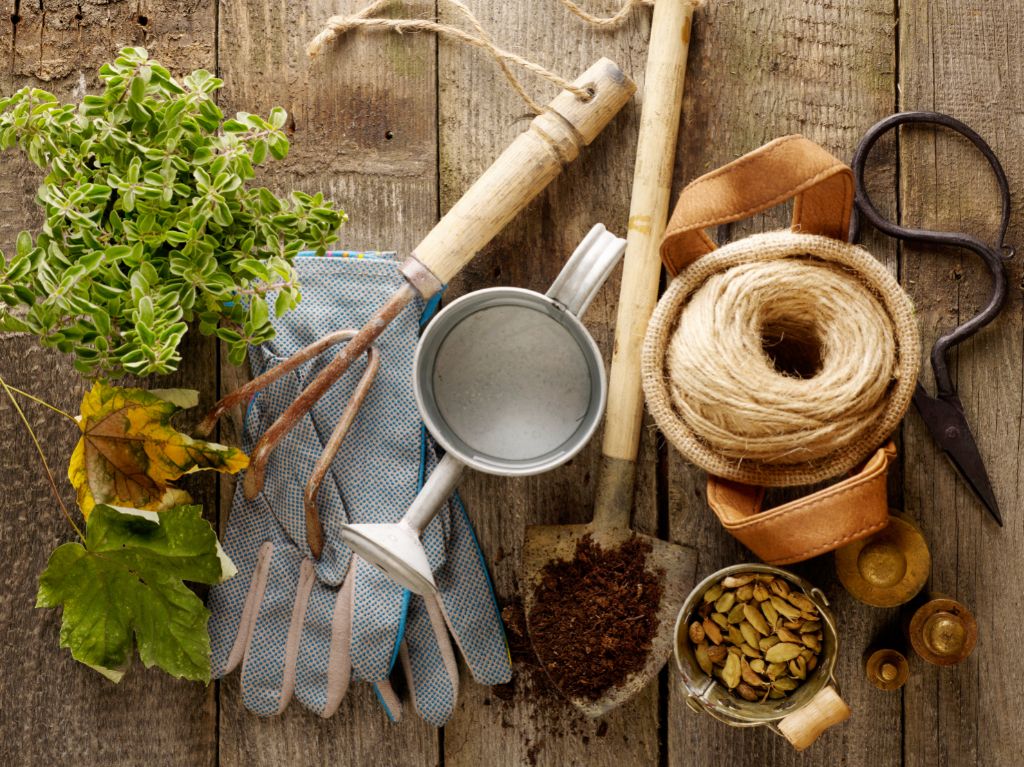 outils de jardin sur table en bois
