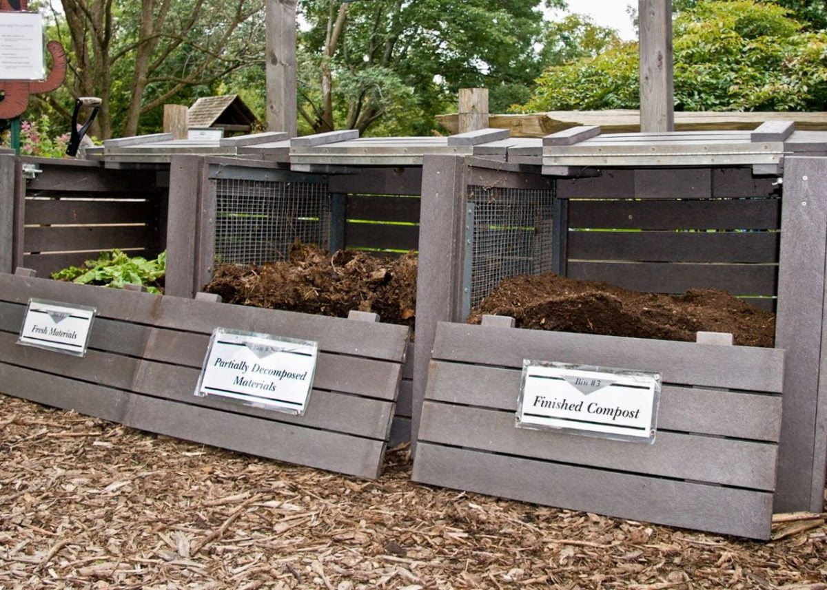 5 astuces pour éviter les rongeurs dans votre compost