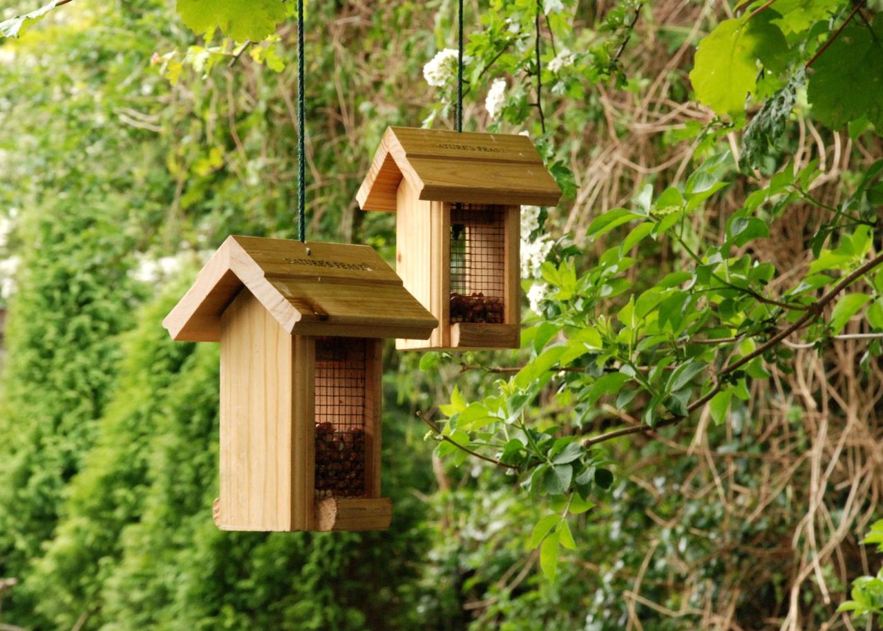 Comment fabriquer une mangeoire pour les oiseaux de votre jardin