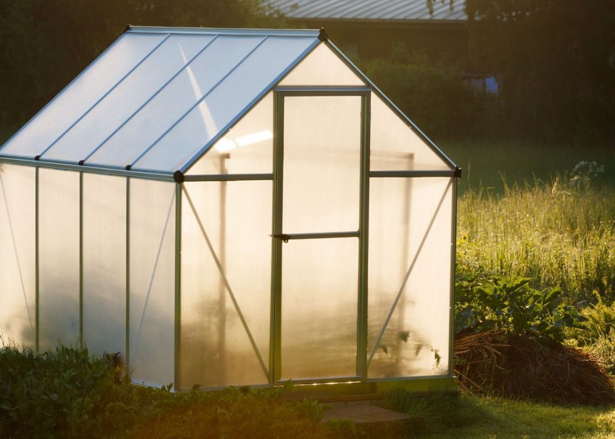 Comment fabriquer soi-même une mini-serre pour son potager