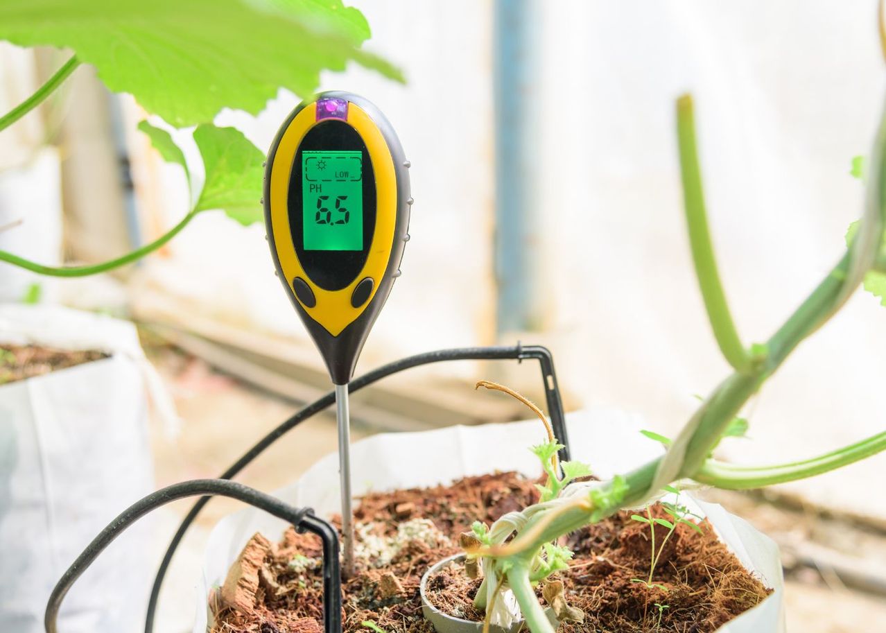 Terre acide : solutions naturelles pour enrichir votre terre