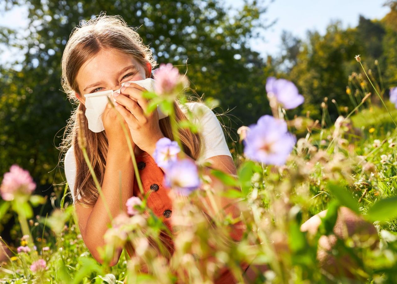 Allergie au pollen 5 plantes utiles pour apaiser les symptômes