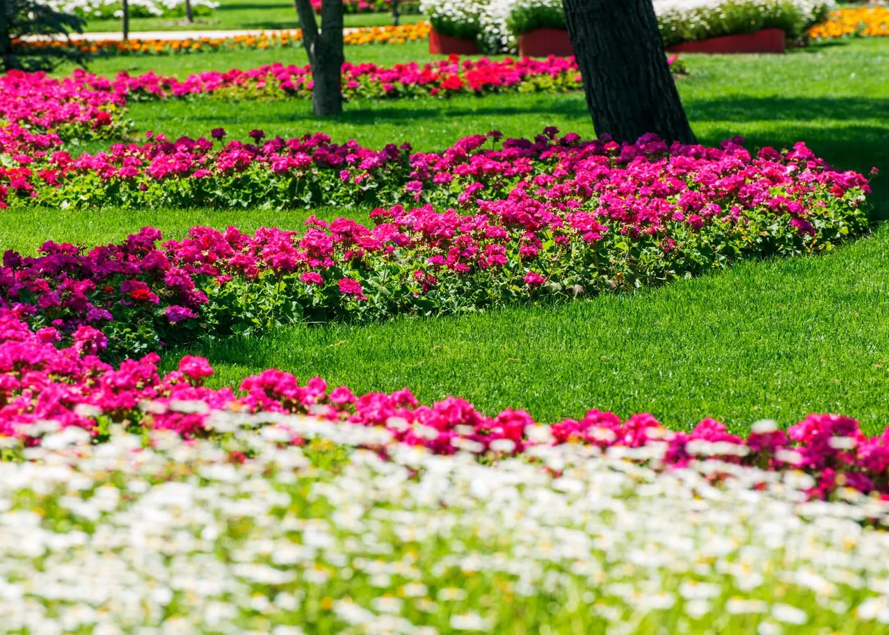 Secrets pour un Jardin Fleuri Époustouflant