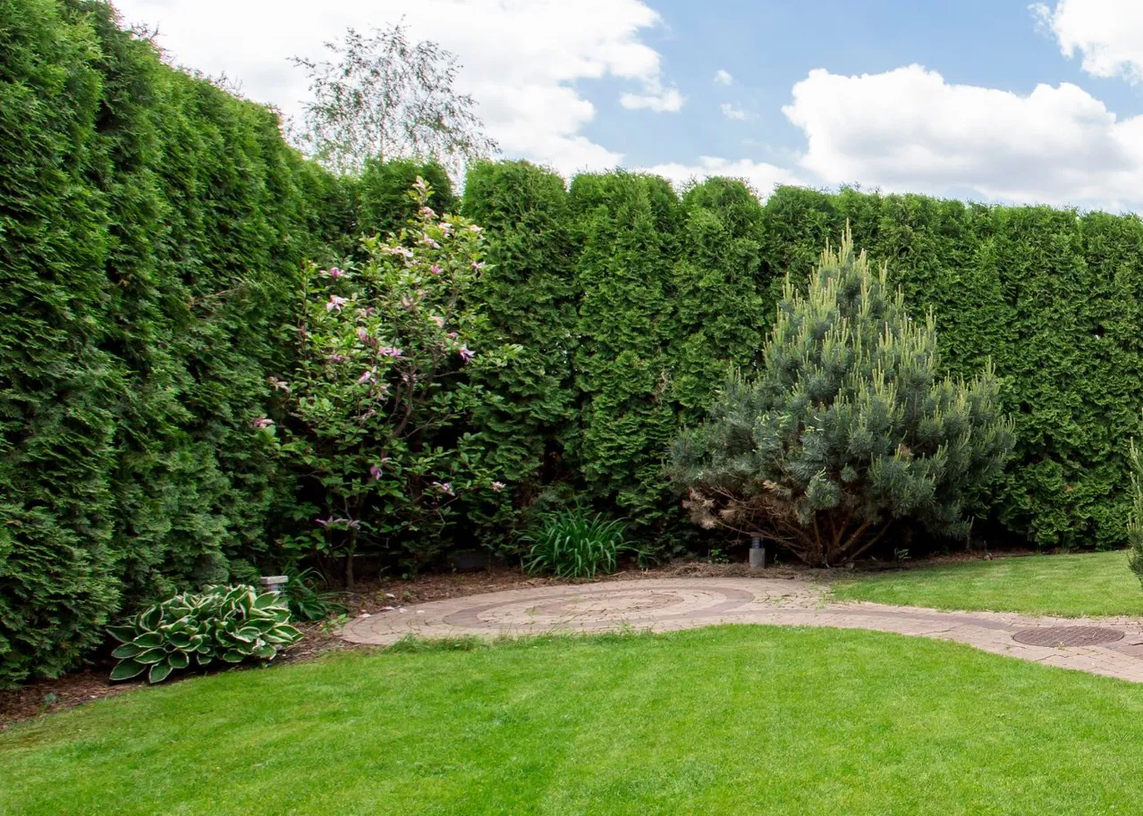 La solution miracle pour se débarrasser des plaques de gazon jaune