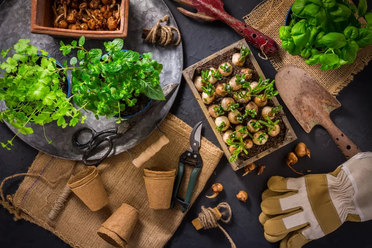 que-faire-potager-octobre1