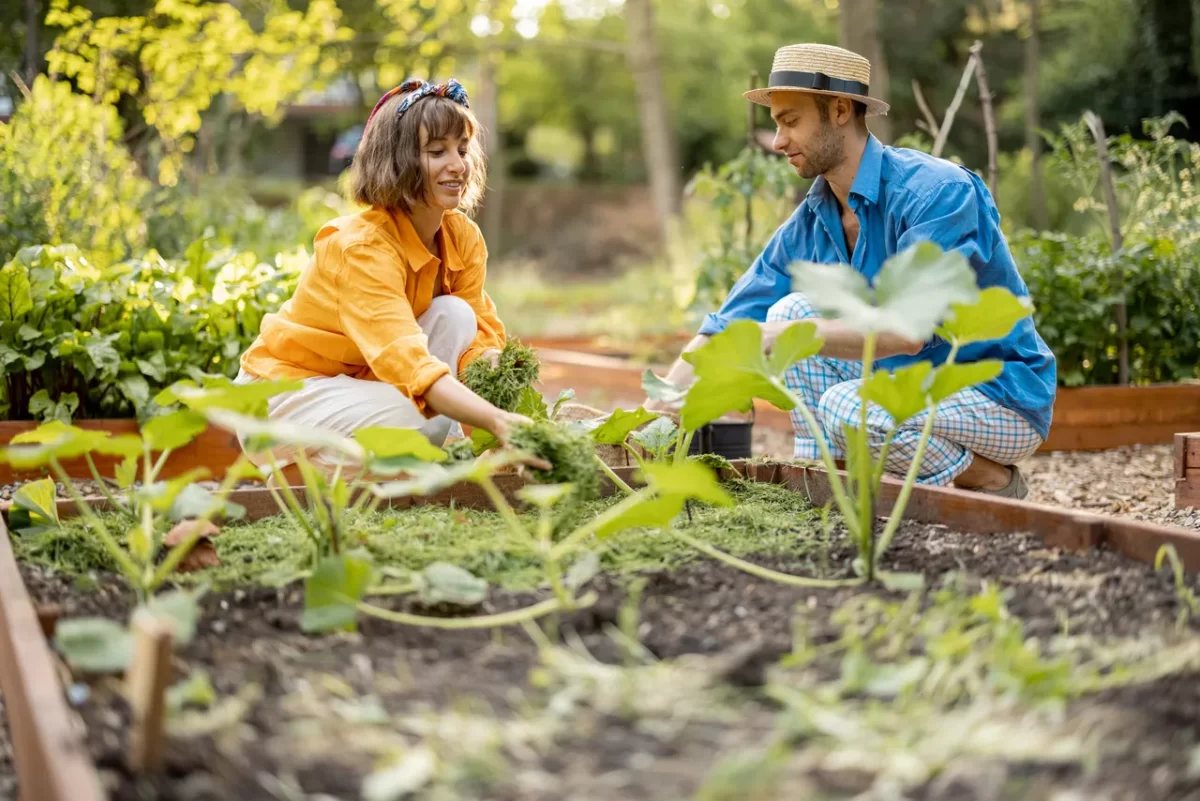 que-faire-potager-octobre2