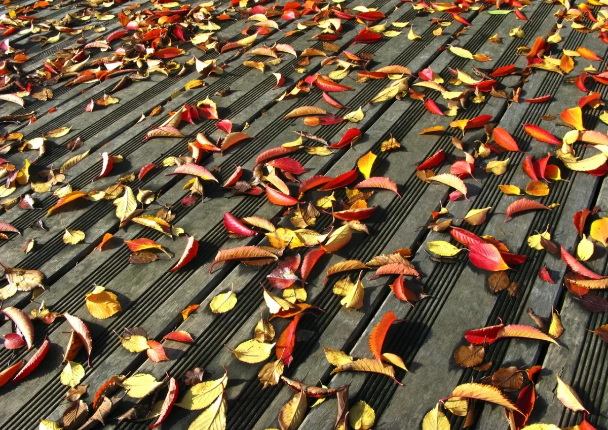 astuces-ramasser-feuilles-mortes