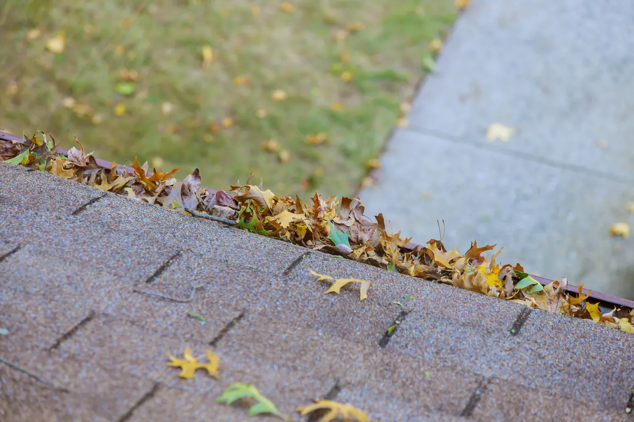 gouttiere-bouchee-feuilles