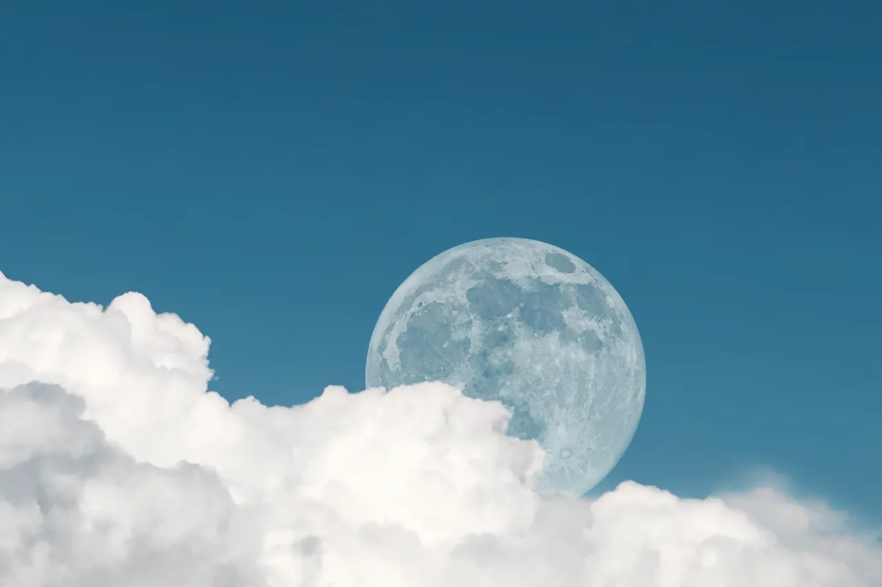 impact-lune-potager