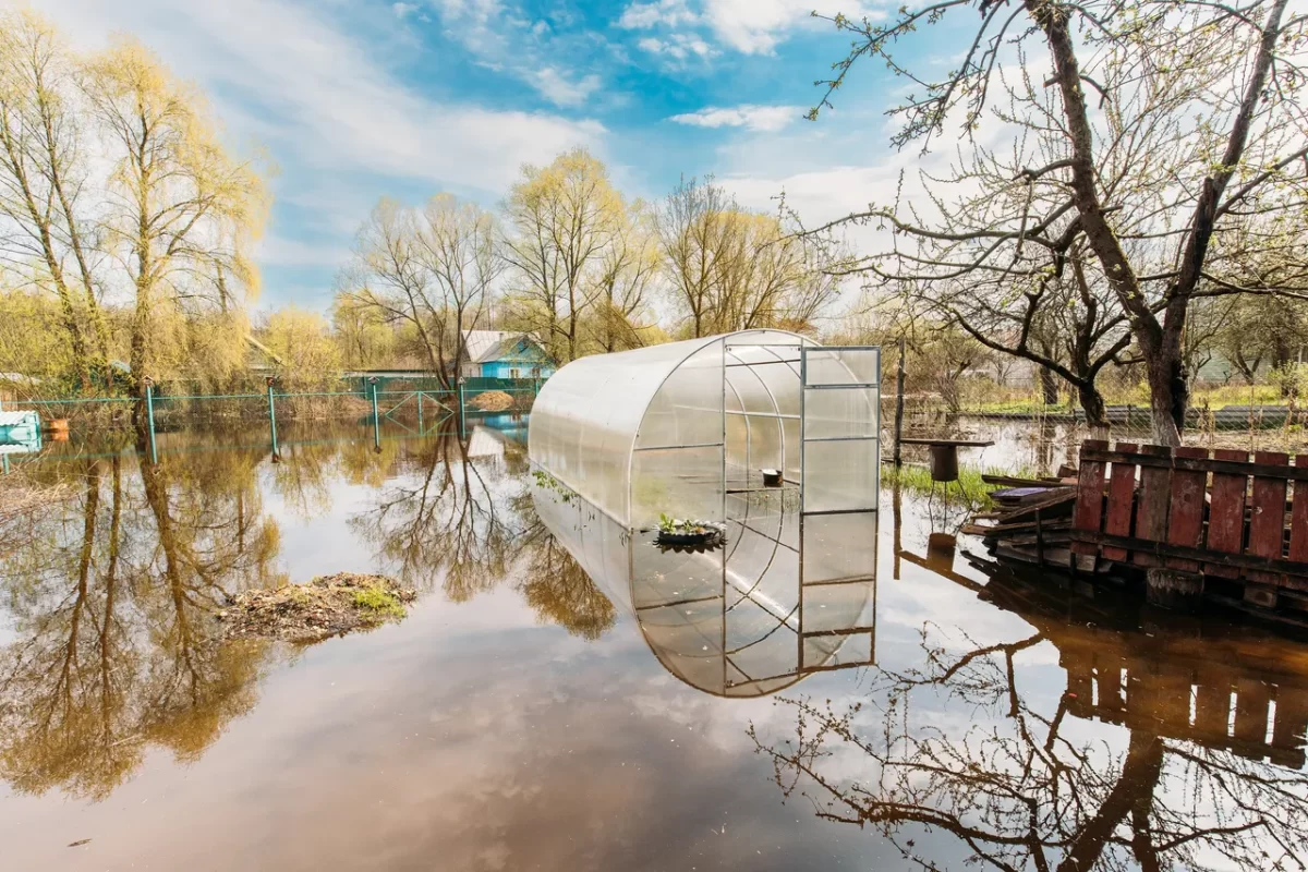 inondation-du-jardin