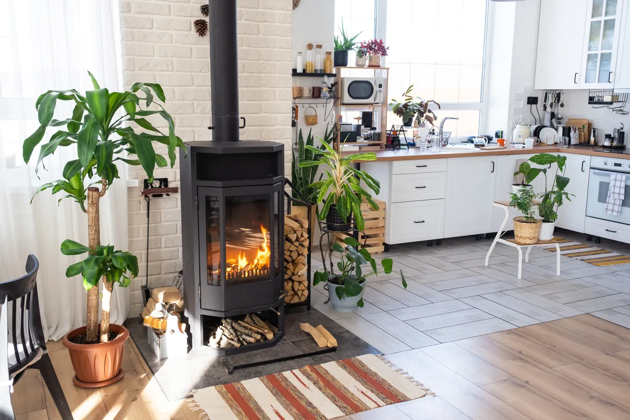Découvrez l'astuce géniale utiliser des pellets de bois dans votre — free download
