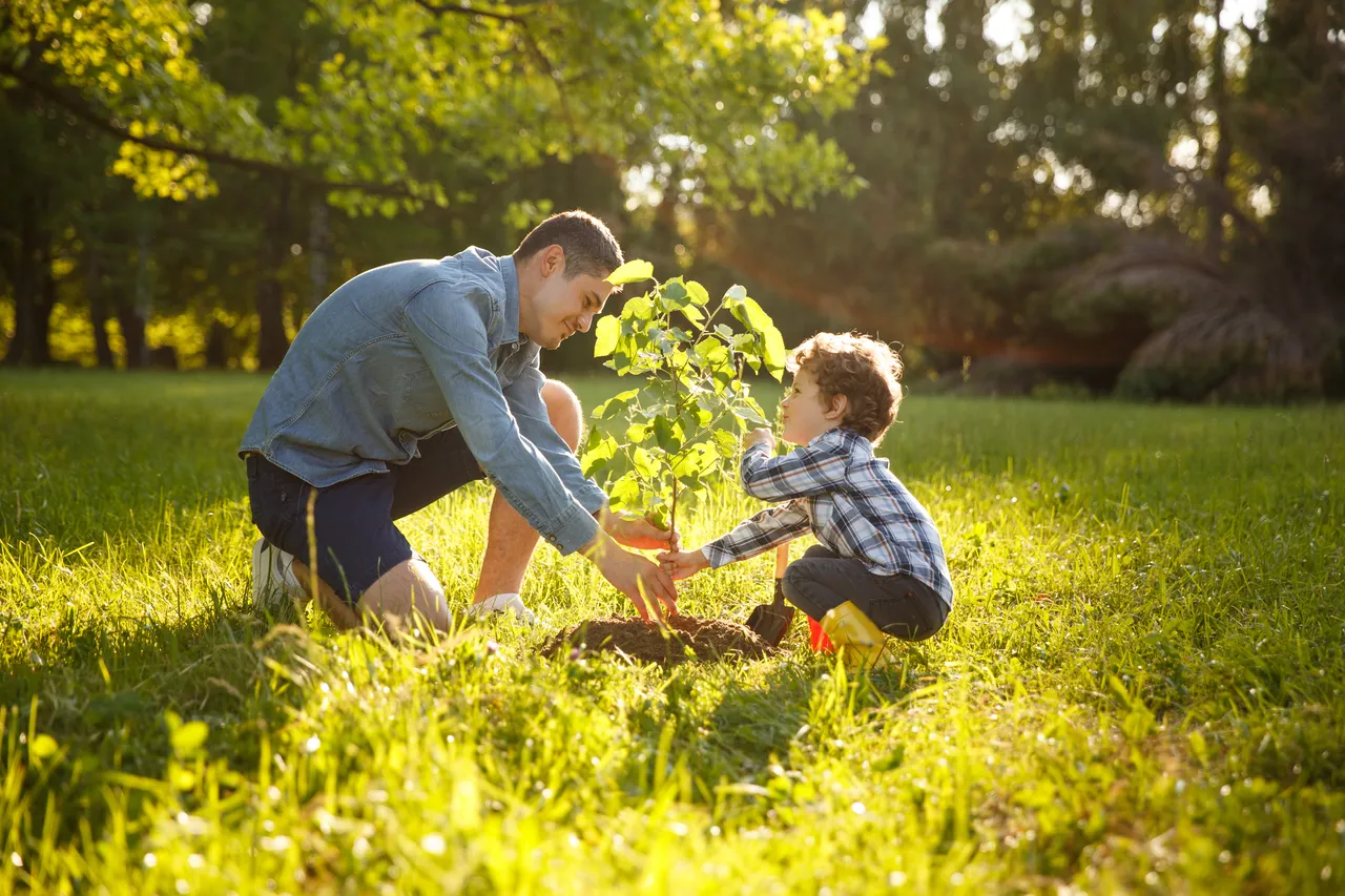 planter-arbres-fruitiers2