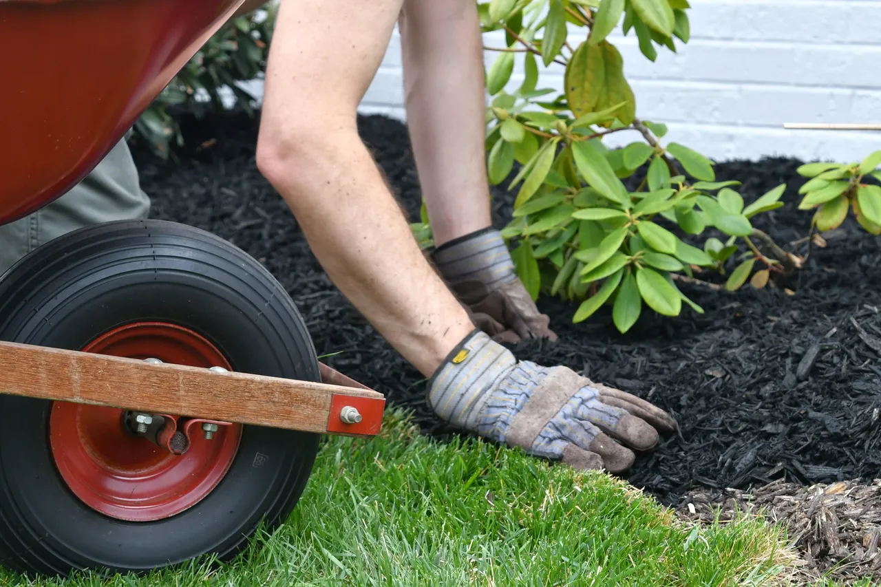 preparer-son-jardin-baisse-des-temperatures