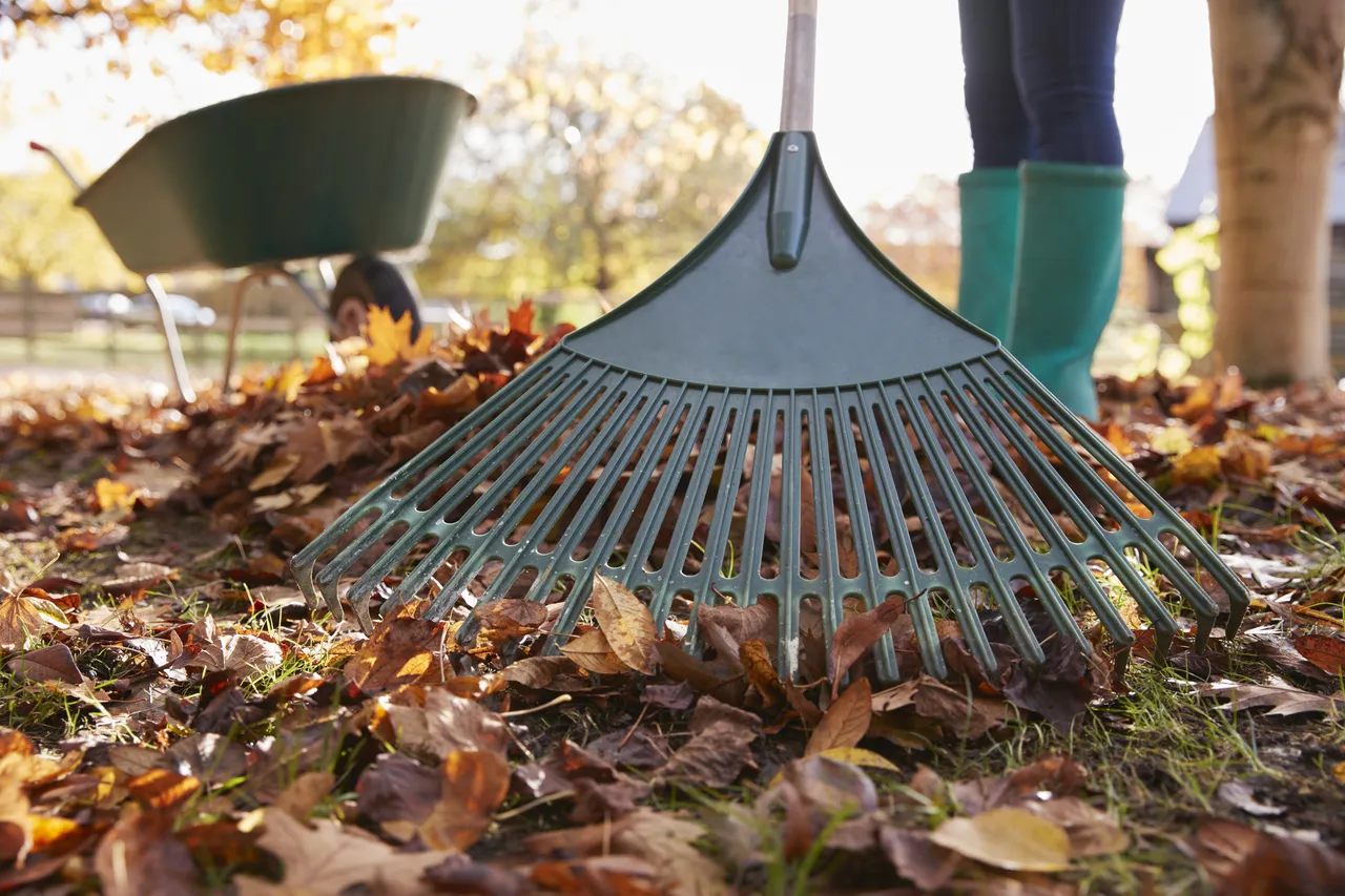 proteger-jardin-a-lautomne