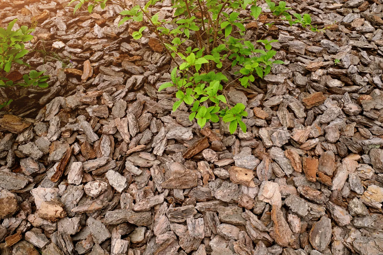 paillage-froid-plantes