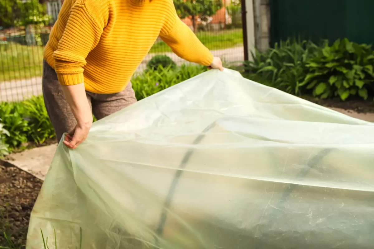 serres-pour-jardin-hiver