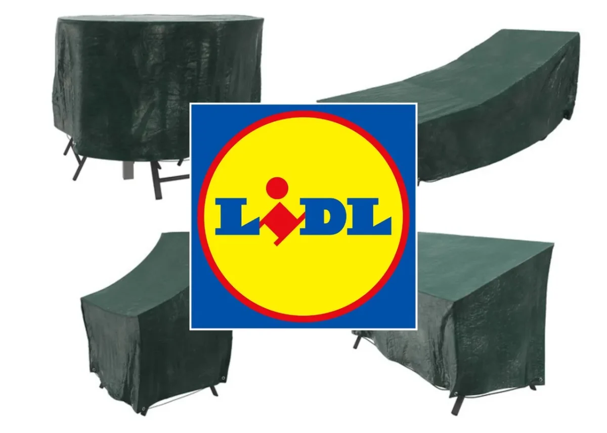 accessoire indispensable lidl