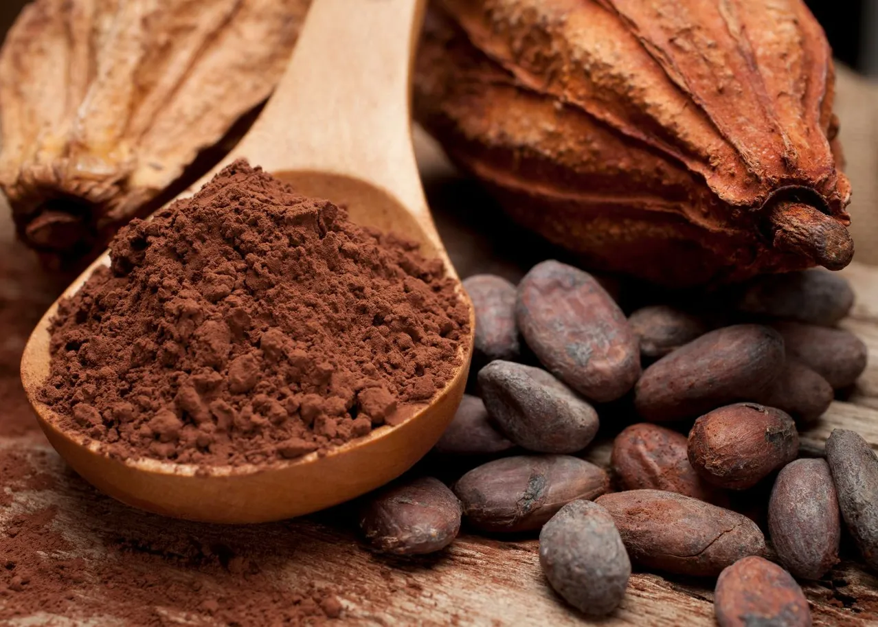 cacao jardin