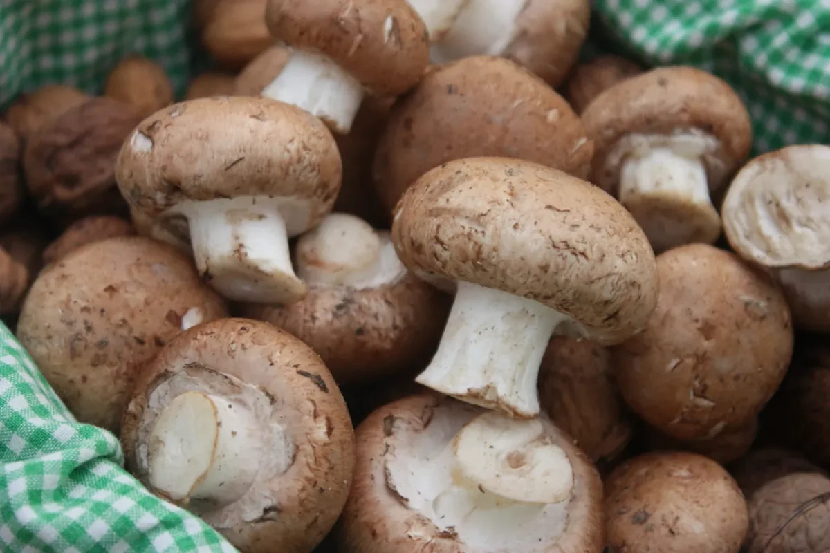 champignons-paris-eplucher