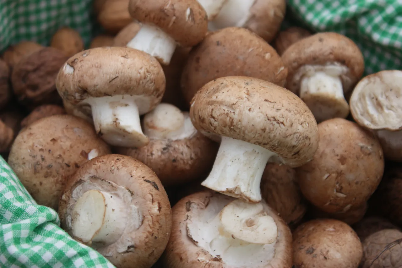 Les champignons de Paris fautil les éplucher avant de les cuisiner ? Voici enfin la réponse