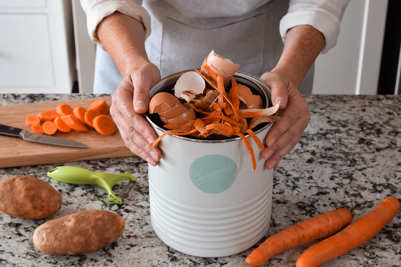 compost-dechet