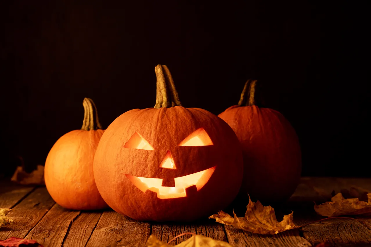 conserver citrouilles halloween