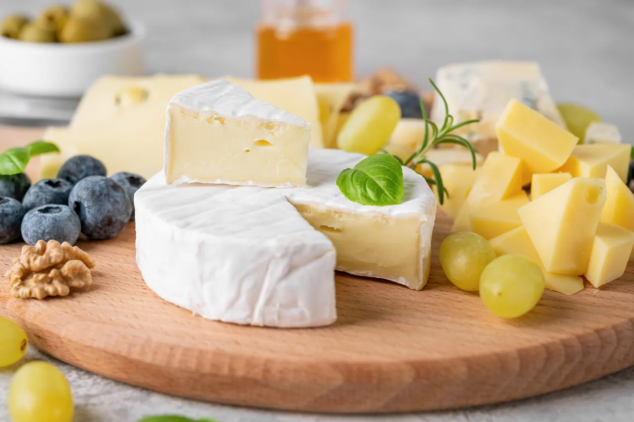 conserver-fromages