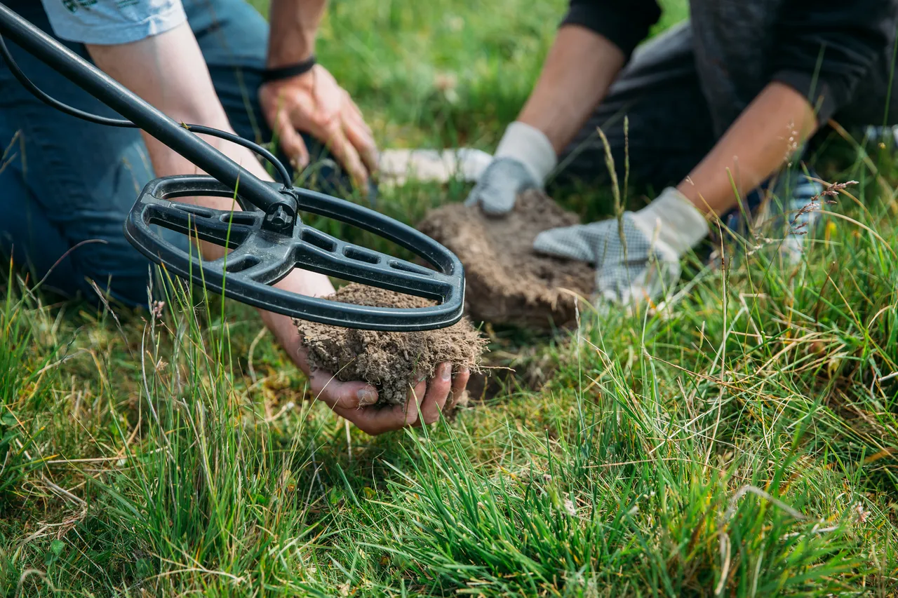 Vous avez trouvé un trésor dans votre jardin : Quels sont les réflexes