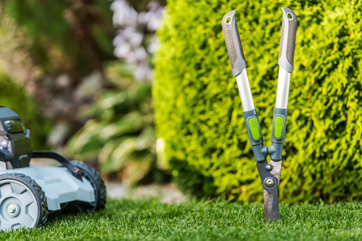 entretien-jardin-locataire