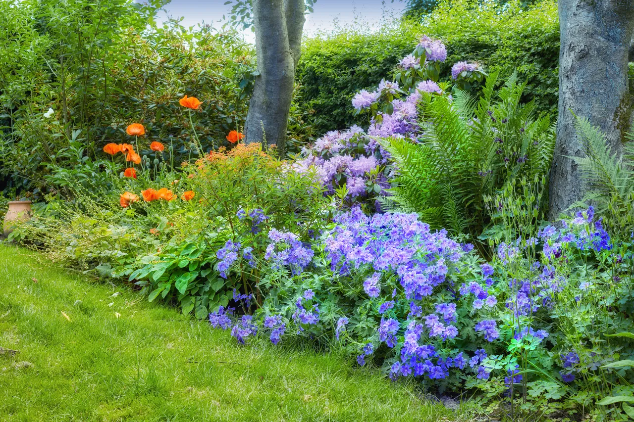 jardin-pente