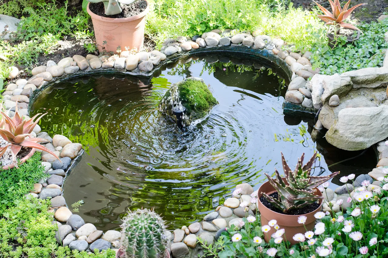 marre-jardin-gelee