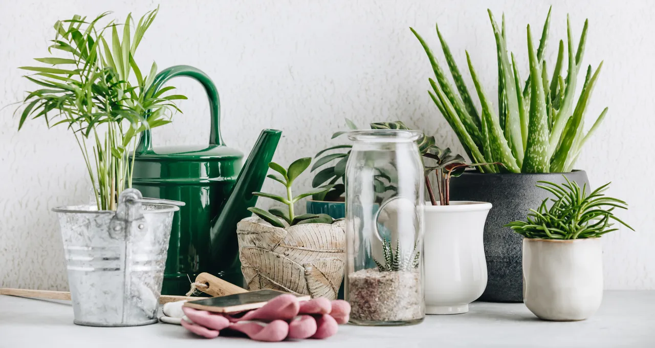 plantes-increvables