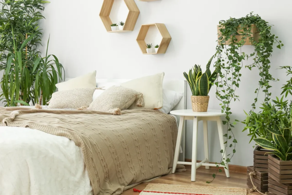 plantes-risques-chambre