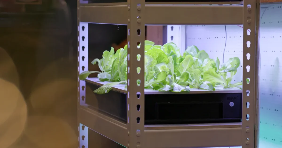 potager-interieur