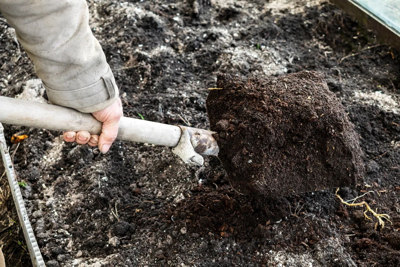quand-comment-cendres-potager