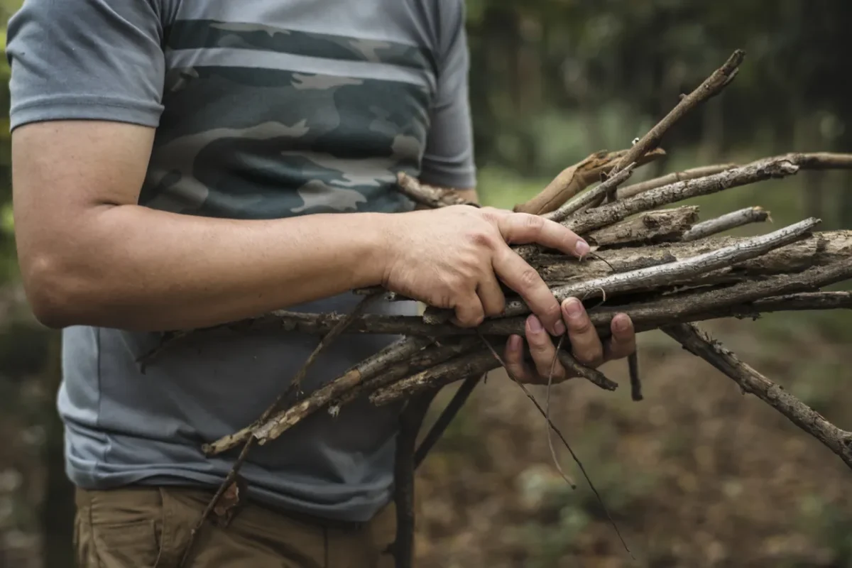 ramasser-bois-foret