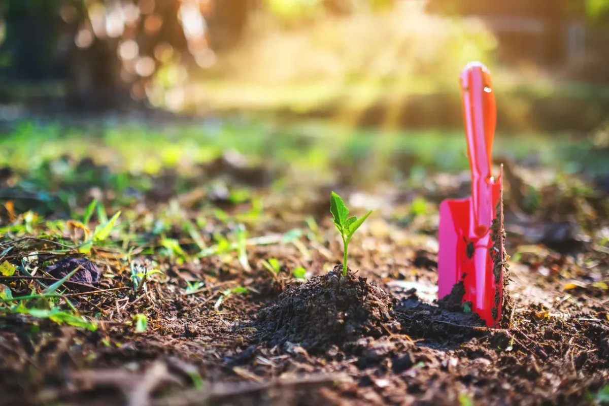 retourner-terre-hiver